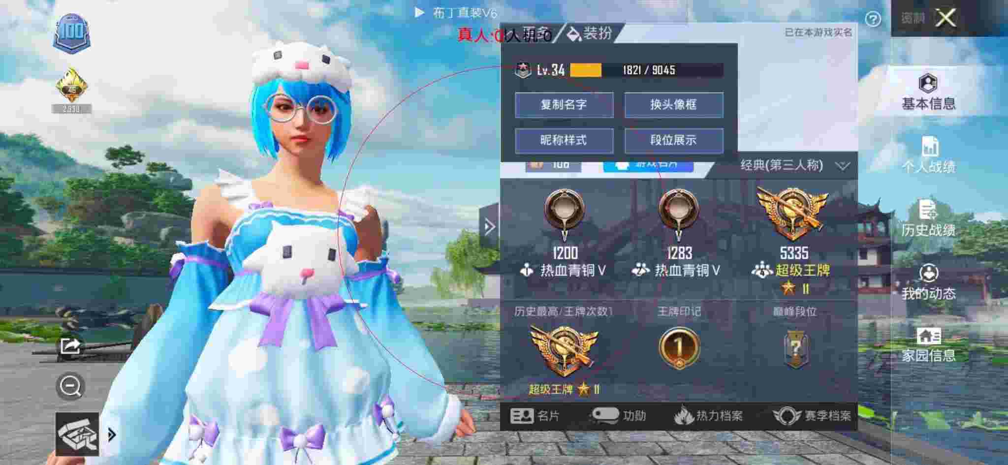 和平精英布丁直装透视 - 王者卡盟网辅助预览图